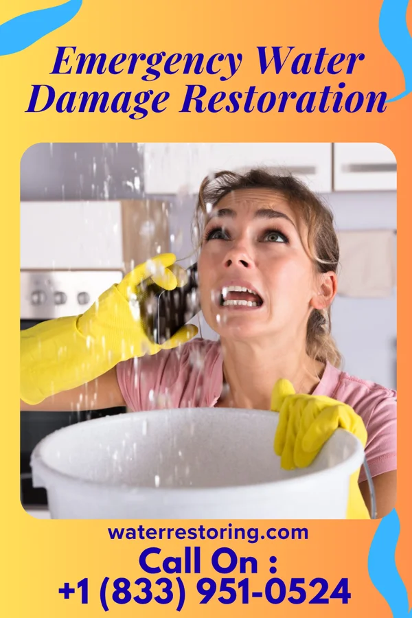 Emergency Water Damage Restoration in Bayshore, NC
