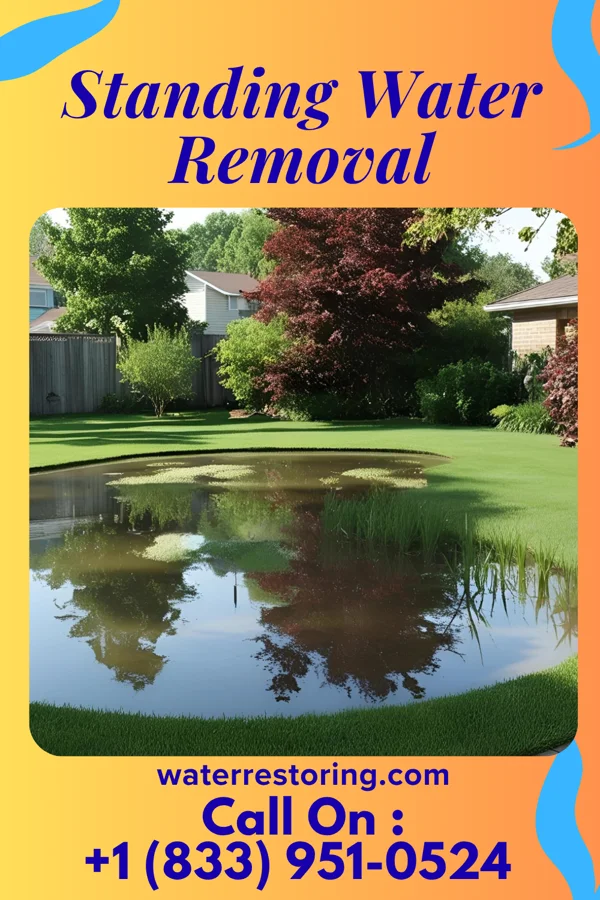 Standing Water Removal in Bayshore, NC